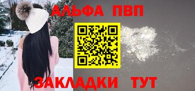 кокс Кингисепп
