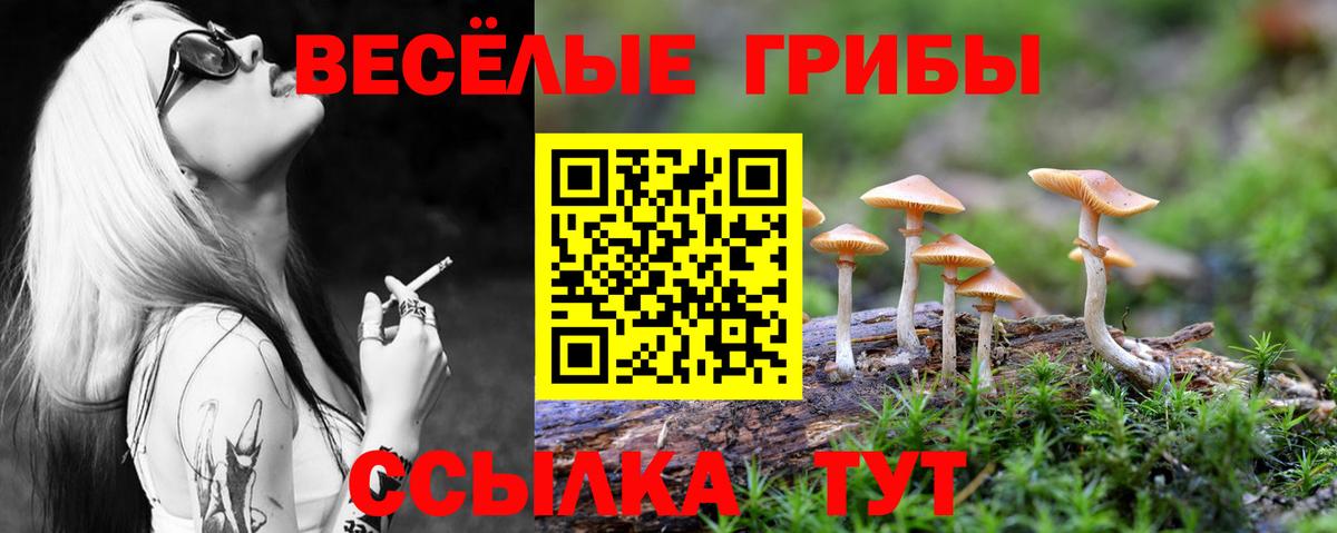 Псилоцибиновые грибы Cubensis  Вход с VPN  Жуковский  Псилоцибиновые грибы Magic Shrooms 